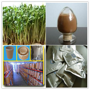 Garden cress seed extract