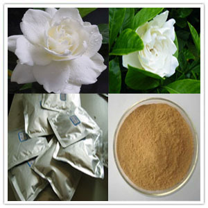 Gardenia extract