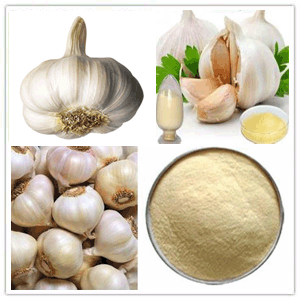 Garlic extract