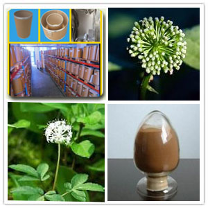 Ginseng flower extract