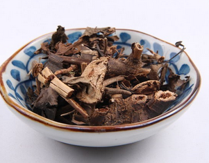 Glabrous Sarcandra Herb Extract