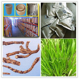 Grassleaf Sweetflag Root Extract