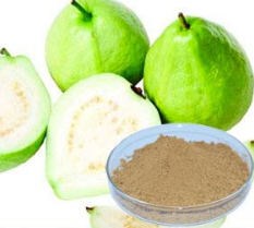 Guava Juice Powder