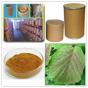 Hazel Leaves extract