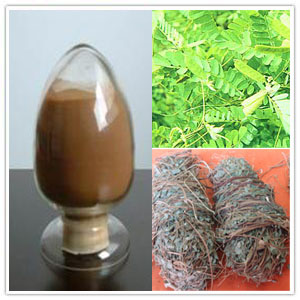 Herba Abri Extract