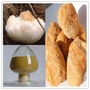 Hericium Erinaceus Extract