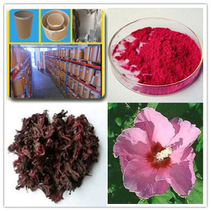 Hibiscus Flower Extract