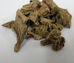 Himalayan Teasel Root Extract