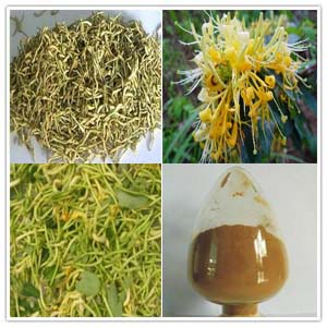 Honeysuckle Flower Extract