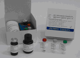 Human Folic Acid ELISA Kit