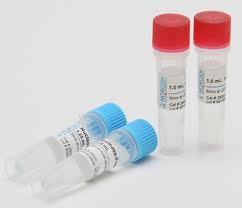 Human LPL ELISA KiT