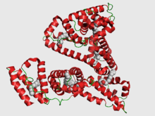 Human serum albumin