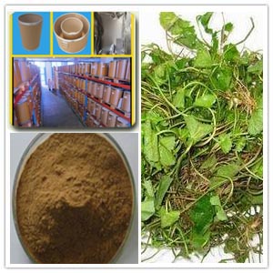 Hydrocotyle asiatica extract