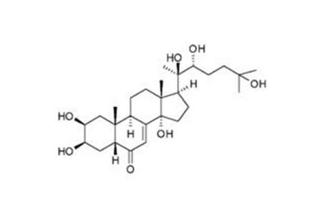 Hydroxyecdysone