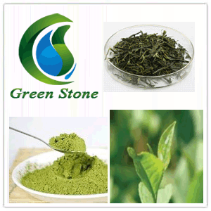 Instant Green Tea Powder