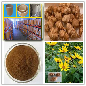 Jerusalem Artichoke extract