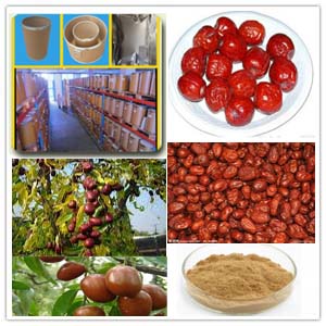 Jujube fruit extract