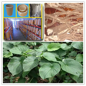 Kava Root Extract