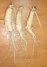 Korean Ginseng Root Extract