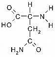 L-Asparagine