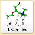 L-Carnitine Crystal