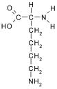 L-lysine