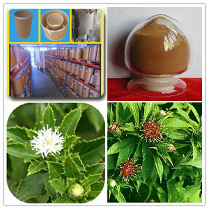 Langehead Atractylodes Rhizome Extract