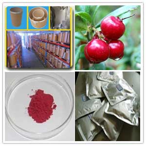 Lingonberry Extract Powder