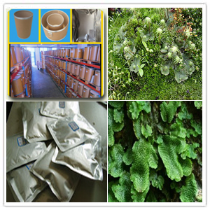 Liverwort extract