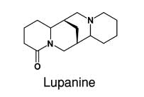 Lupanine