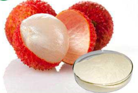 Lychee Juice Powder