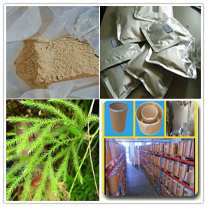 Lycopodium clavatum extract