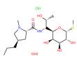 Lyncomicine hydrochloride