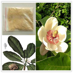 Magnolia extract