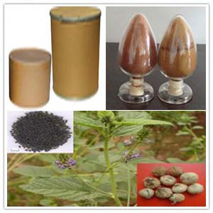 Malaytea Scurfpea fruit extract