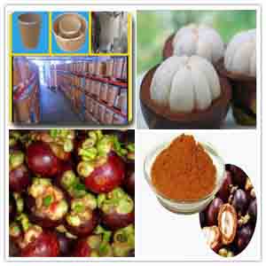 Mangosteen Extract