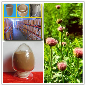 Rhaponticum Carthamoides Root/Maral Root Extract