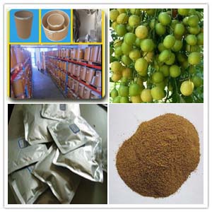 Margosa Fruit Extract