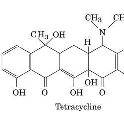 Monoclonal Antibody Tetracycline