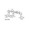 Monophosphoryl Lipid A