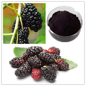 Mulberry Fruit Extract