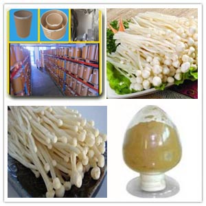 Needle Mushroom Extract