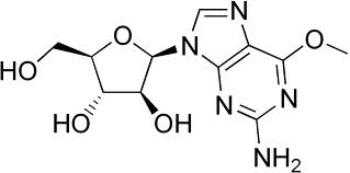 Nelarabine