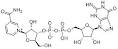 Nicotinamide guanine dinucleotide