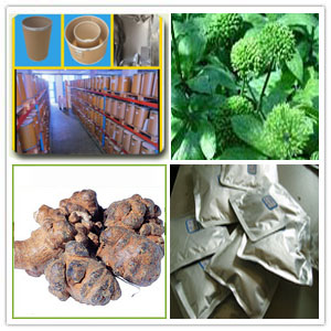 Notoginseng leaf extract