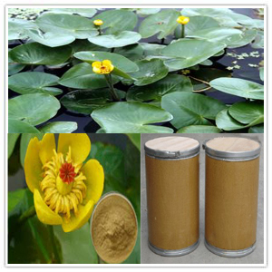 Nuphar Pumilum Extract