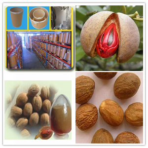 Nutmeg extract