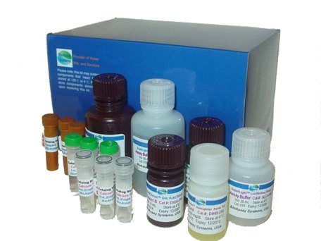 (OT/BGP)ELISA Kit