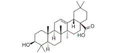 Oleanolic Acid