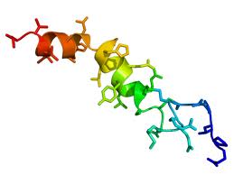 Orexin-A